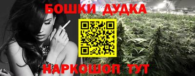 соль ск Пугачёв