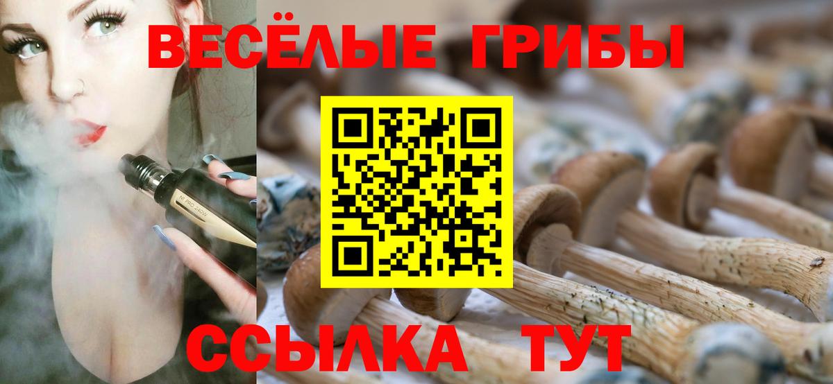 Галлюциногенные грибы MAGIC MUSHROOMS  Вход с VPN  Галлюциногенные грибы прущие грибы  Сафоново 