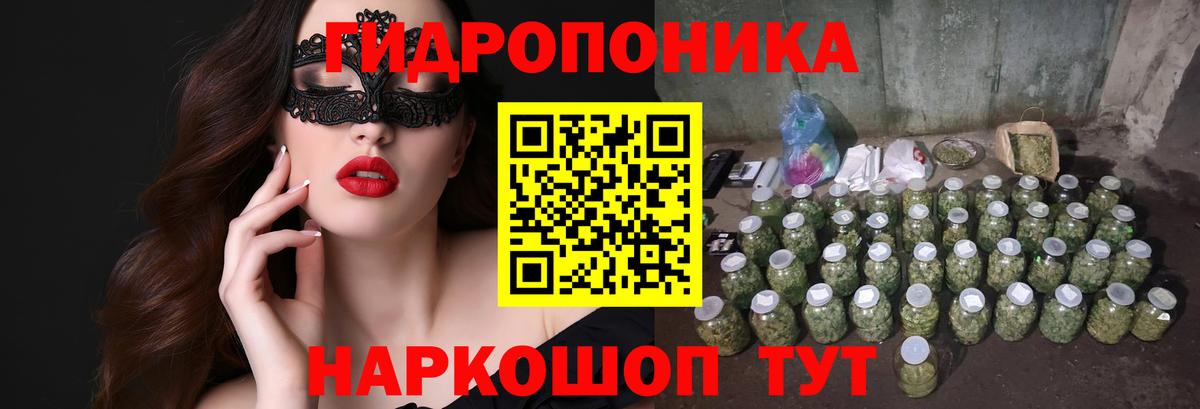 Бошки марихуана планчик Сафоново